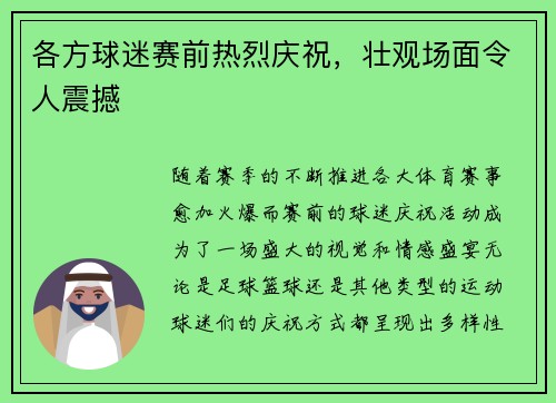 各方球迷赛前热烈庆祝，壮观场面令人震撼